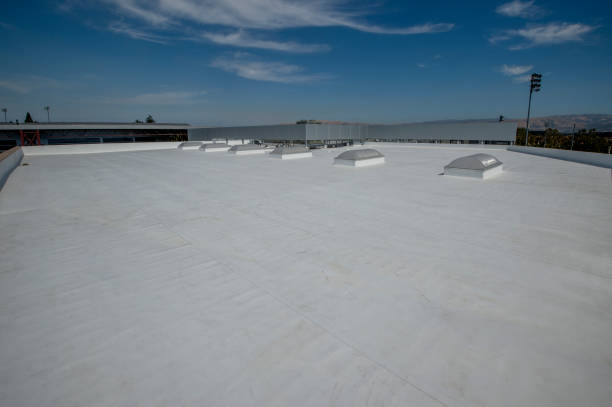 Best 4 Ply Roofing  in Watseka, IL