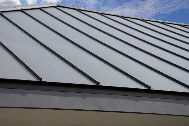 Best Roof Coating and Sealing  in Watseka, IL